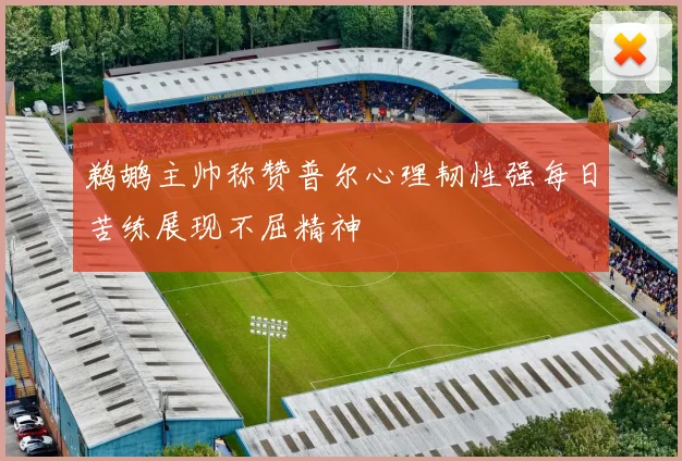 鹈鹕主帅称赞普尔心理韧性强每日苦练展现不屈精神