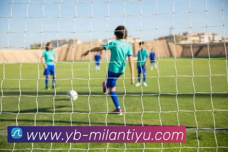 米兰体育平台生态图